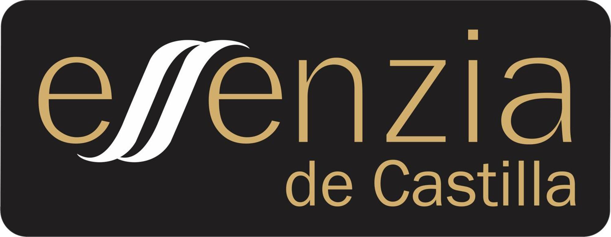 Aparthotel Essenzia De Castilla Aranda de Duero Buitenkant foto
